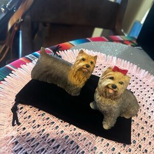 2 Yorkies by Cartagena of Italy